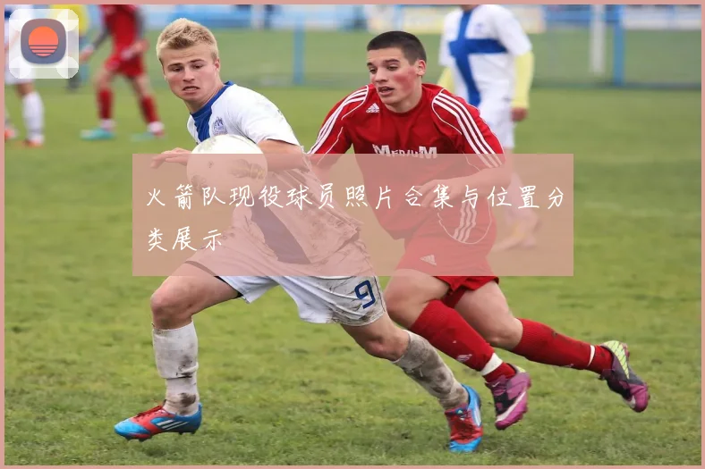 火箭队现役球员照片合集与位置分类展示