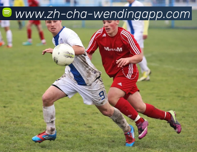 问鼎娱乐APP 高清赛事图